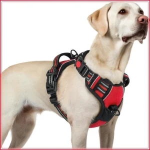 No Pull Dog Harness large Dogs