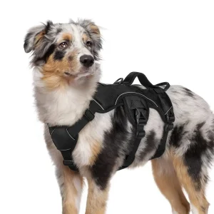Escape Proof Dog Harness