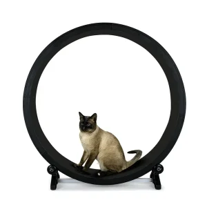 Silent Cat Treadmill Toy
